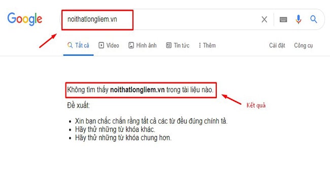Website chưa có trên Google